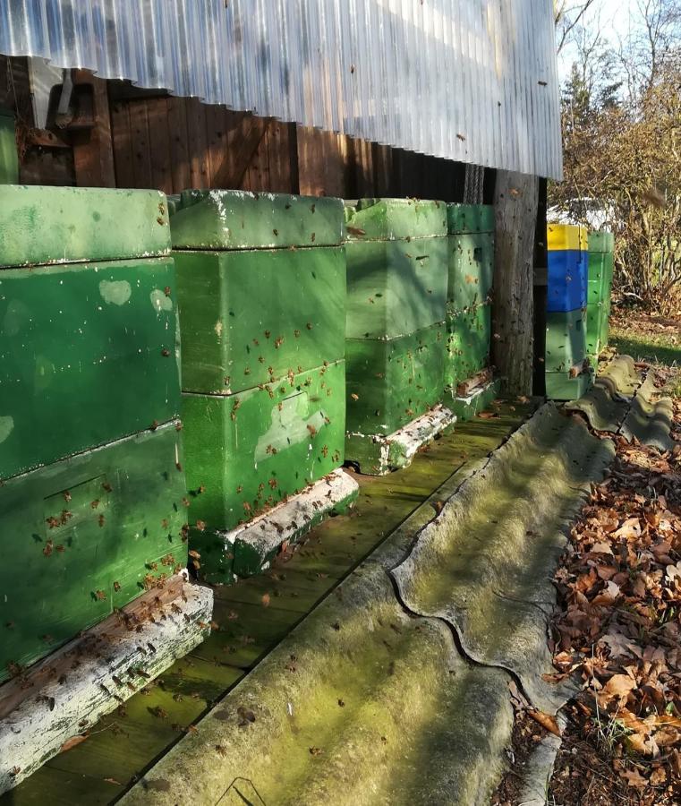Ferienwohnung Wiesenweg Bad Bederkesa Exteriör bild
