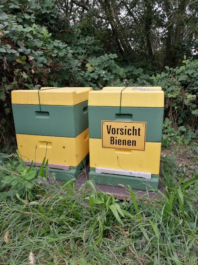 Ferienwohnung Wiesenweg Bad Bederkesa Exteriör bild
